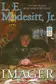 Book cover of Imager