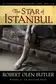 Book cover of The Star Of Istanbul