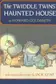 Book cover of The Twiddle twins' haunted house