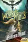 Book cover of When Wizards Follow Fools