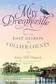 Book cover of Miss Dreamsville and the lost heiress of Collier County