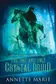 Book cover of The One and Only Crystal Druid