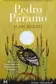Book cover of Pedro Paramo
