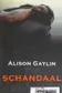 Book cover of Schandaal