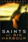 Book cover of Saints of Big Harbour