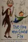 Book cover of The boy who could fly