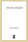 Book cover of The big secret
