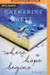 Book cover of Where hope begins