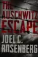 Book cover of The Auschwitz Escape