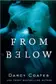 Book cover of From Below