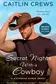 Book cover of Secret Nights with a Cowboy
