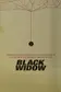 Book cover of Black Widow