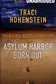 Book cover of Asylum Harbor Burn Out Traci Hohenstein