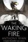 Book cover of The Waking Fire
