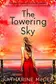 Book cover of The Towering Sky