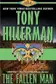 Book cover of The Fallen Man