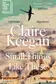 Book cover of Small Things Like These