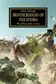Book cover of Brotherhood of the Storm