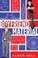 Book cover of Boyfriend Material