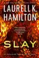 Book cover of Slay
