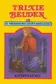 Book cover of The Indian Burial Ground Mystery