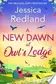 Book cover of A New Dawn at Owl's Lodge