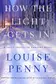 Book cover of How the Light Gets In