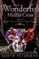 Book cover of It's a Wonderful Midlife Crisis