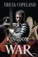 Book cover of Kingdom of War