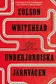 Book cover of The Underground Railroad