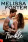 Book cover of Flirting with Trouble