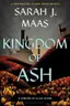 Book cover of Kingdom of Ash
