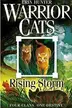 Book cover of Rising Storm