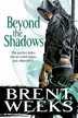 Book cover of Beyond the Shadows