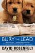 Book cover of Bury the lead