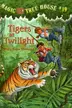 Book cover of Tigers at Twilight