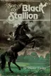 Book cover of Son of the Black Stallion
