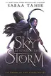 Book cover of A Sky Beyond the Storm