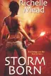Book cover of Storm Born