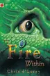 Book cover of The fire within