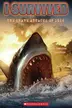 Book cover of I Survived the Shark Attacks of 1916