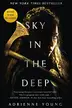 Book cover of Sky in the Deep