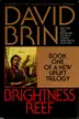 Book cover of Brightness reef