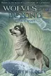Book cover of Spirit wolf