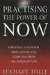 Book cover of Practising the Power of Now