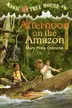Book cover of Afternoon on the Amazon