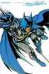 Book cover of Batman illustrated by Neal Adams