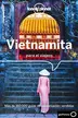 Book cover of Vietnamita para el viajero 2