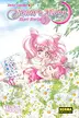 Book cover of Sailor Moon Short Stories 1
