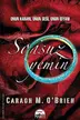 Book cover of Sonsuz Yemin